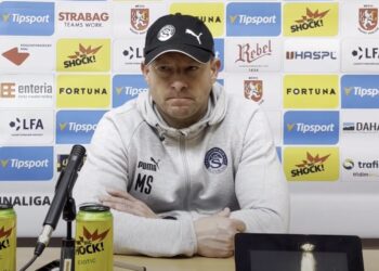 Martin Svědík
