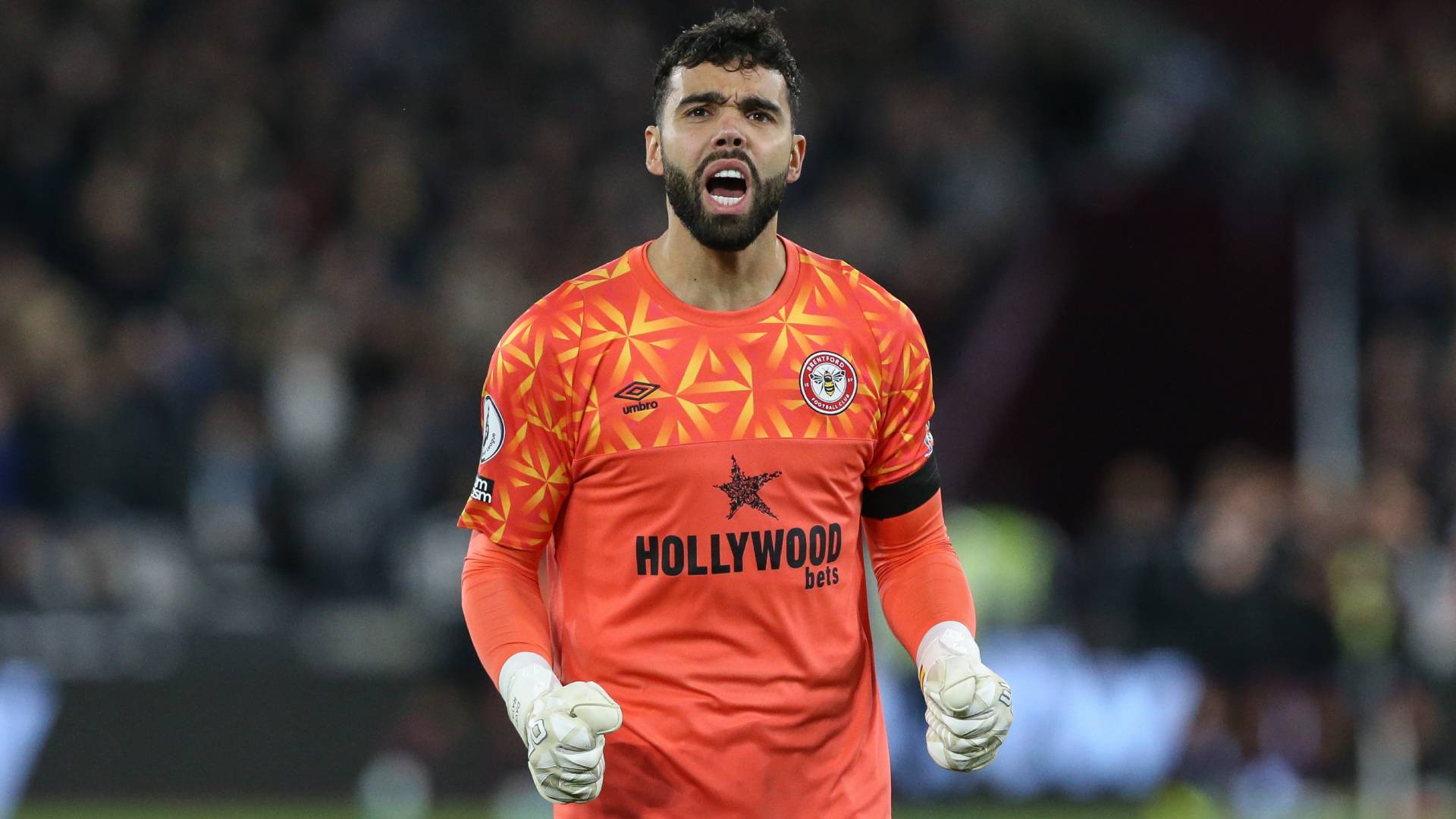 David Raya