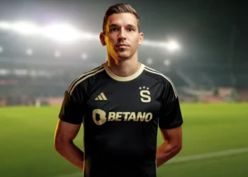 David Pavelka