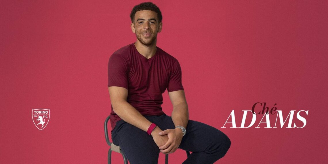 Che Adams
