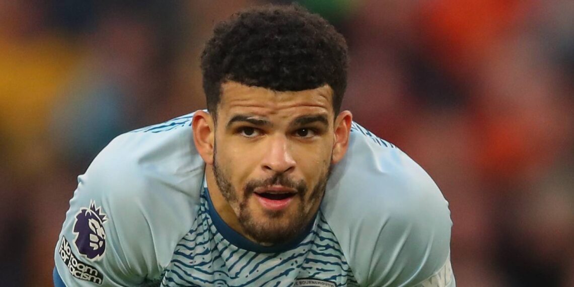 Dominic Solanke