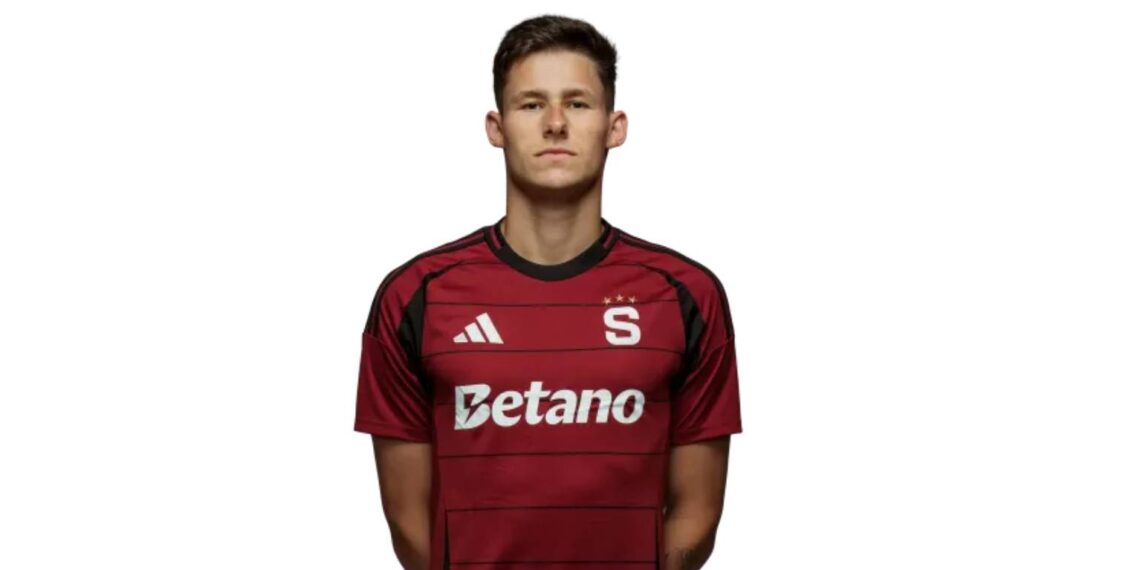 Martin Vitík