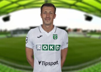 Dávid Krčík