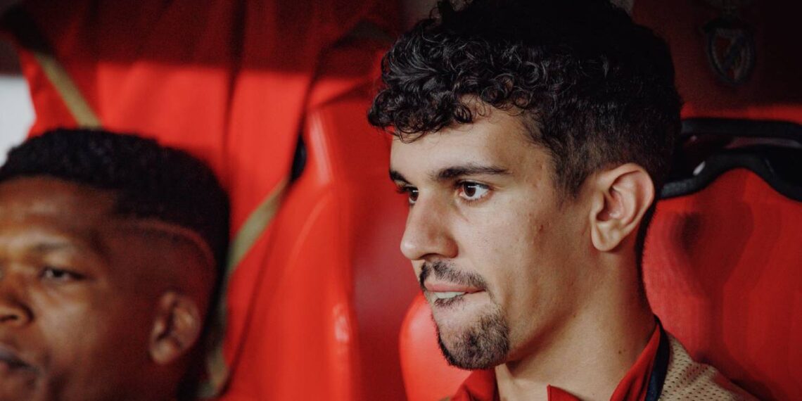 Tomás Araújo