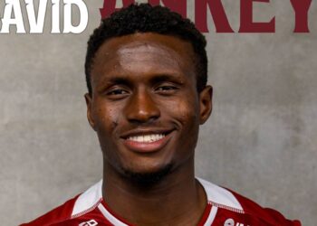 David Ankeye
