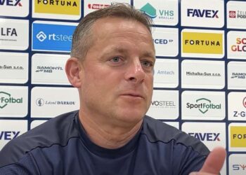 Martin Svědík