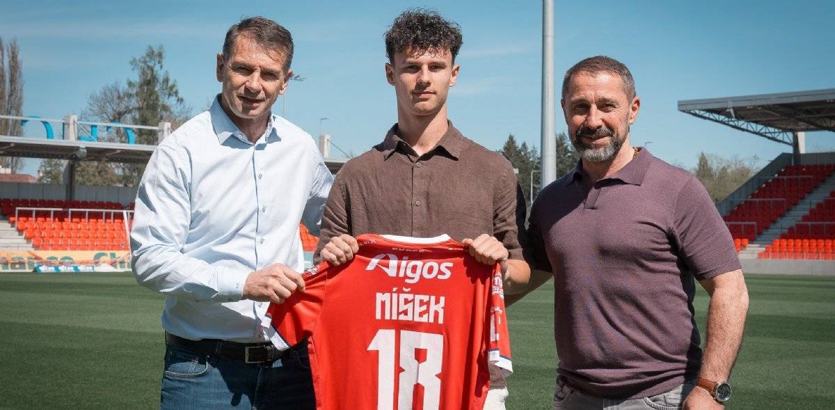 Štěpán Míšek
