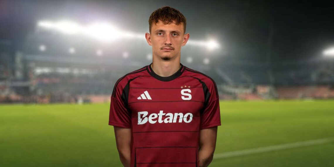 Dominik Hollý