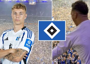 Adam Karabec a postup Hamburku do Bundesligy