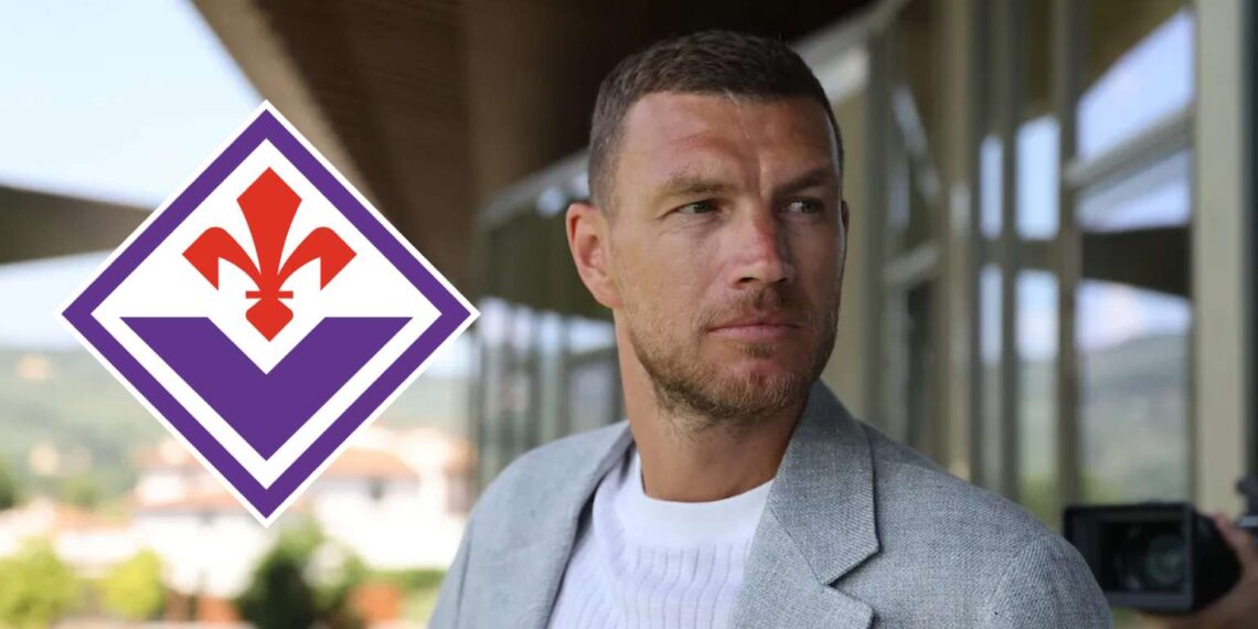 Edin Džeko