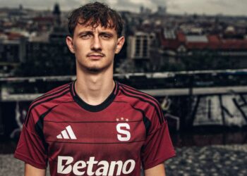 Dominik Hollý