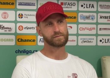 David Střihavka