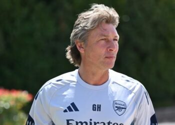 Gabriel Heinze