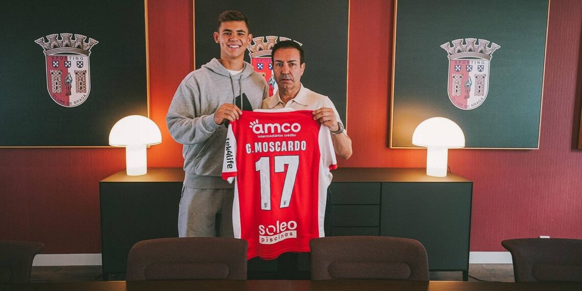 Moscardo