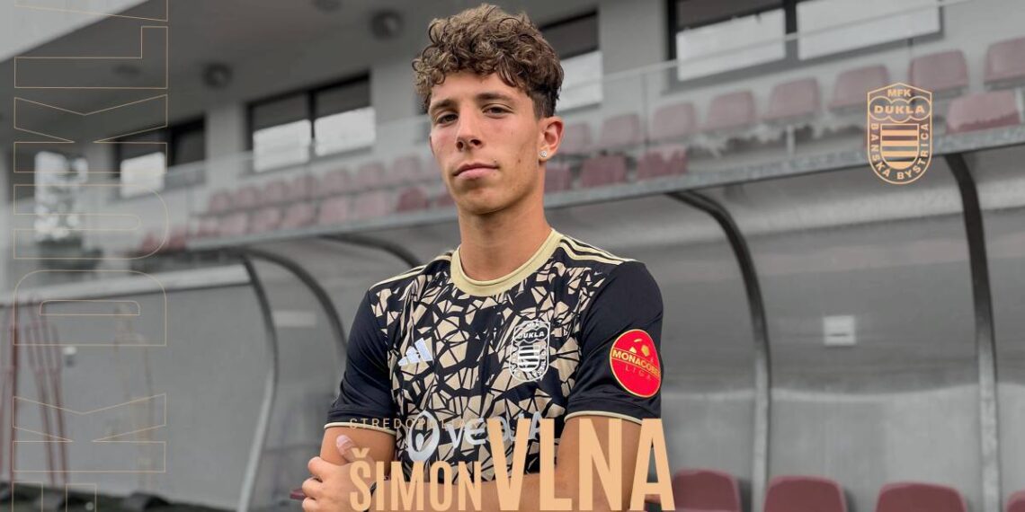 Šimon Vlna