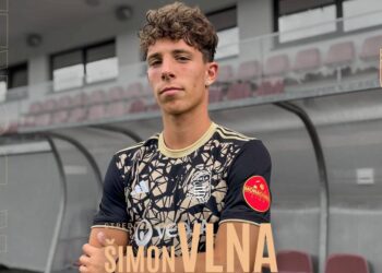 Šimon Vlna