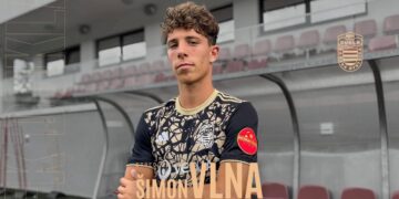 Šimon Vlna