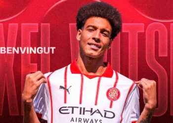 Axel Witsel