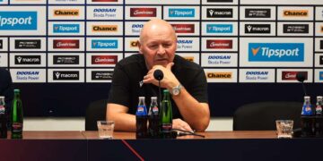 Miroslav Koubek