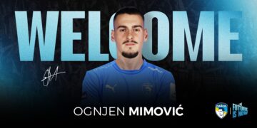 Mimovič