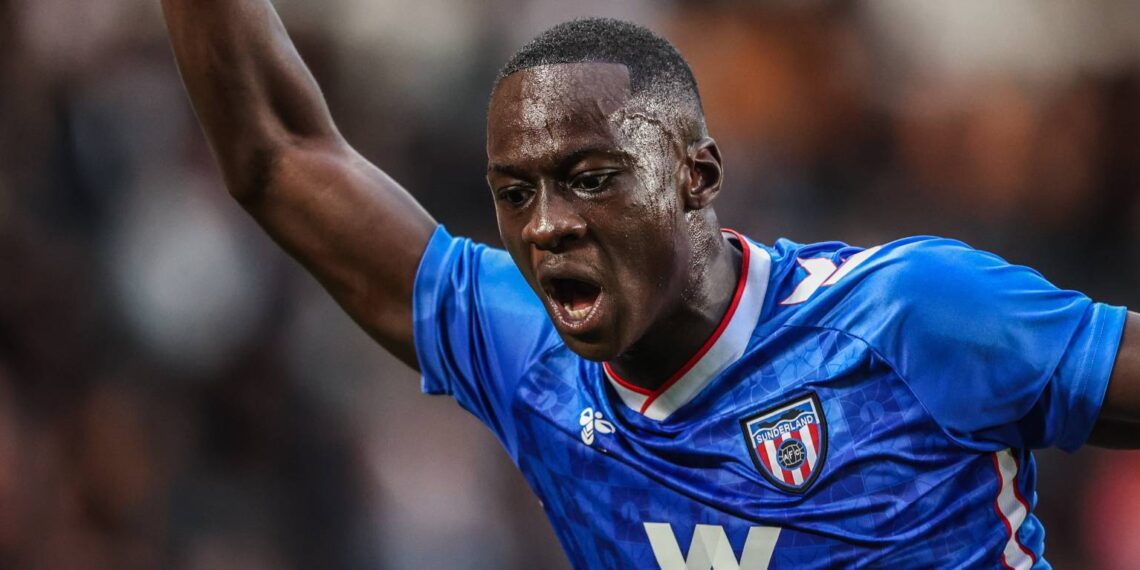 Habib Diarra