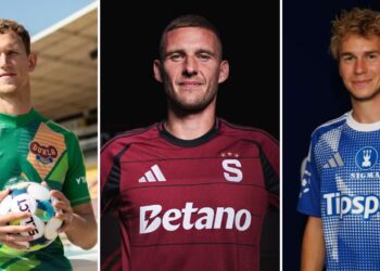 Rihards Matrevics, Pavel Kadeřábek a Michal Beran