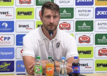 David Střihavka