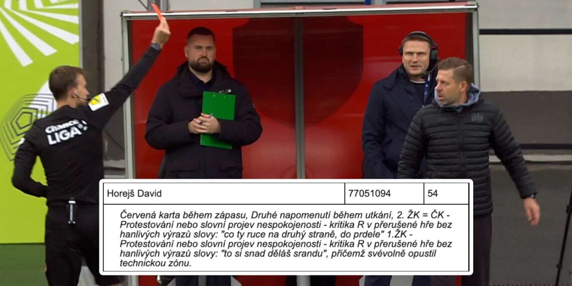 David Horejš