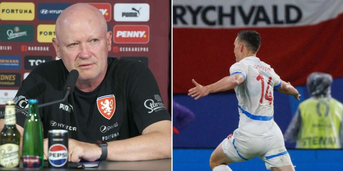 Hašek, Provod