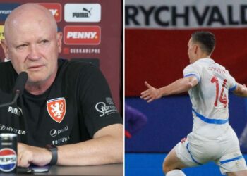 Hašek, Provod