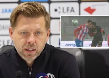 David Horejš o zákroku na Vladimíra Daridu