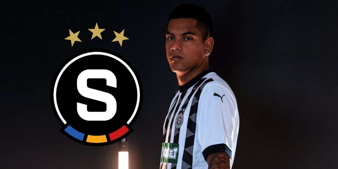 Joao Grimaldo