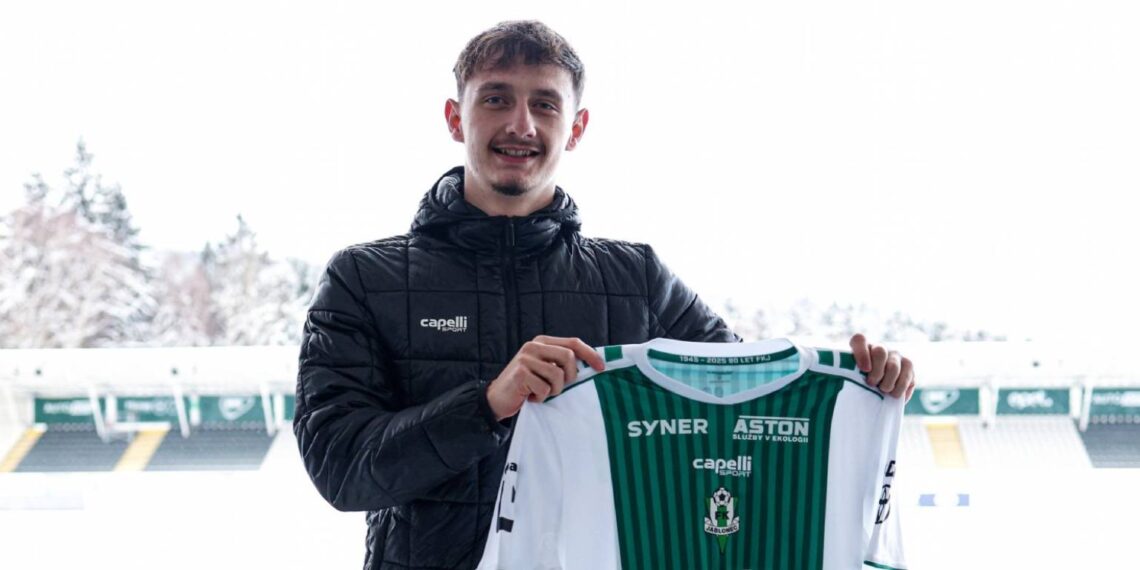 Dominik Hollý