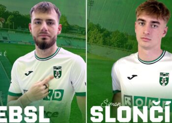 Prebsl, Slončík