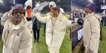 Snoop Dogg, majitel Swansea