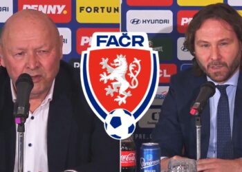 Miroslav Koubek, Pavel nedvěd