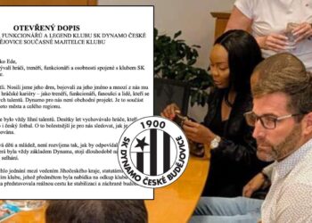 Majitelka Dynama Nneka Ede