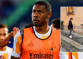 David Alaba, Pini Zahavi