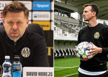 David Horejš, Vladimír Darida