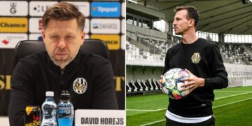 David Horejš, Vladimír Darida