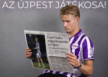 Fenyö Noah