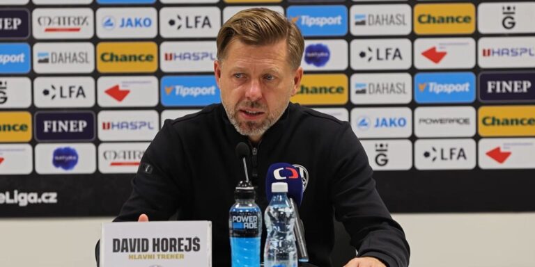 David Horejš