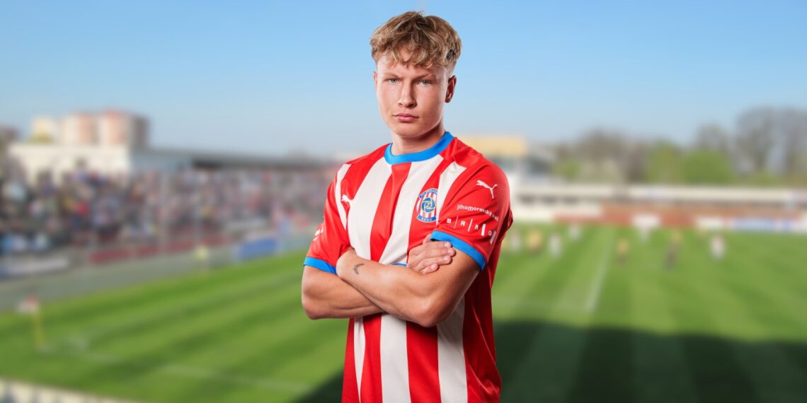 David Polášek