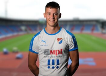 Dominik Holaň
