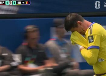 Thibo Courtois